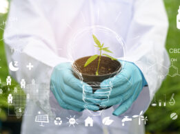 Curso online gratuito «Consumos de Cannabis para universitarios: formación y sensibilización»